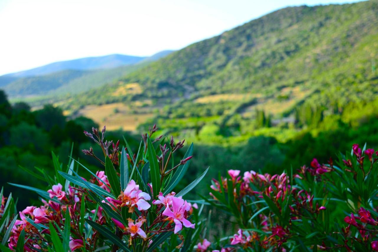 Sosventos Village Hotel Teulada Kültér fotó
